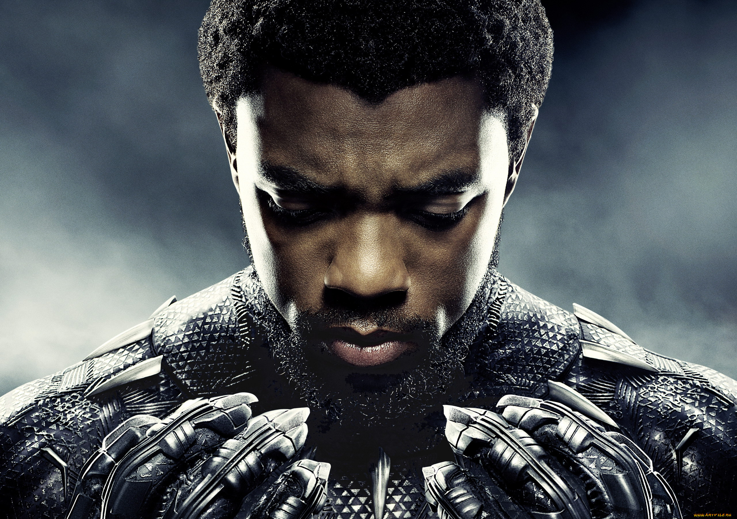  , black panther, black, panther